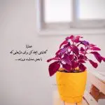 دانلود آهنگ نگاه منتظر به در “هوش مصنوعی” از هایده و مهستی